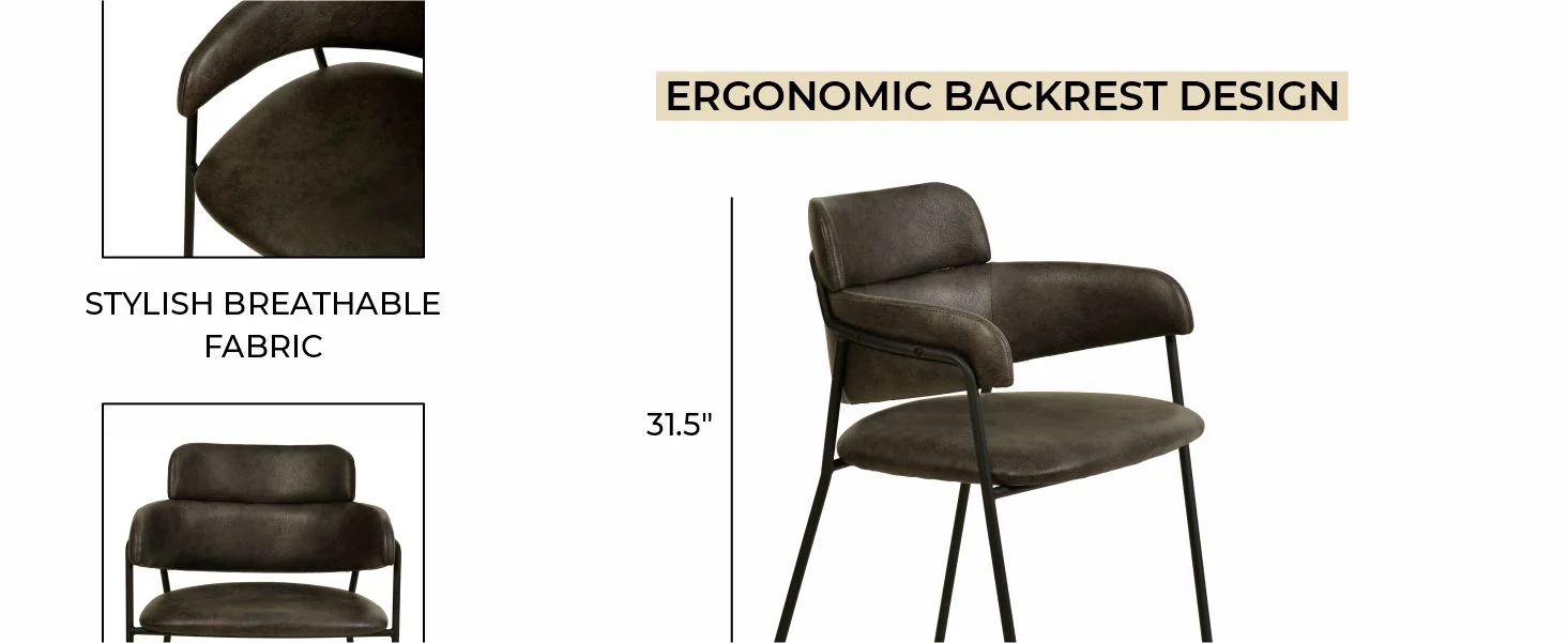 Axis Collection Modern Dining Chair in Charcoal - Set of 2