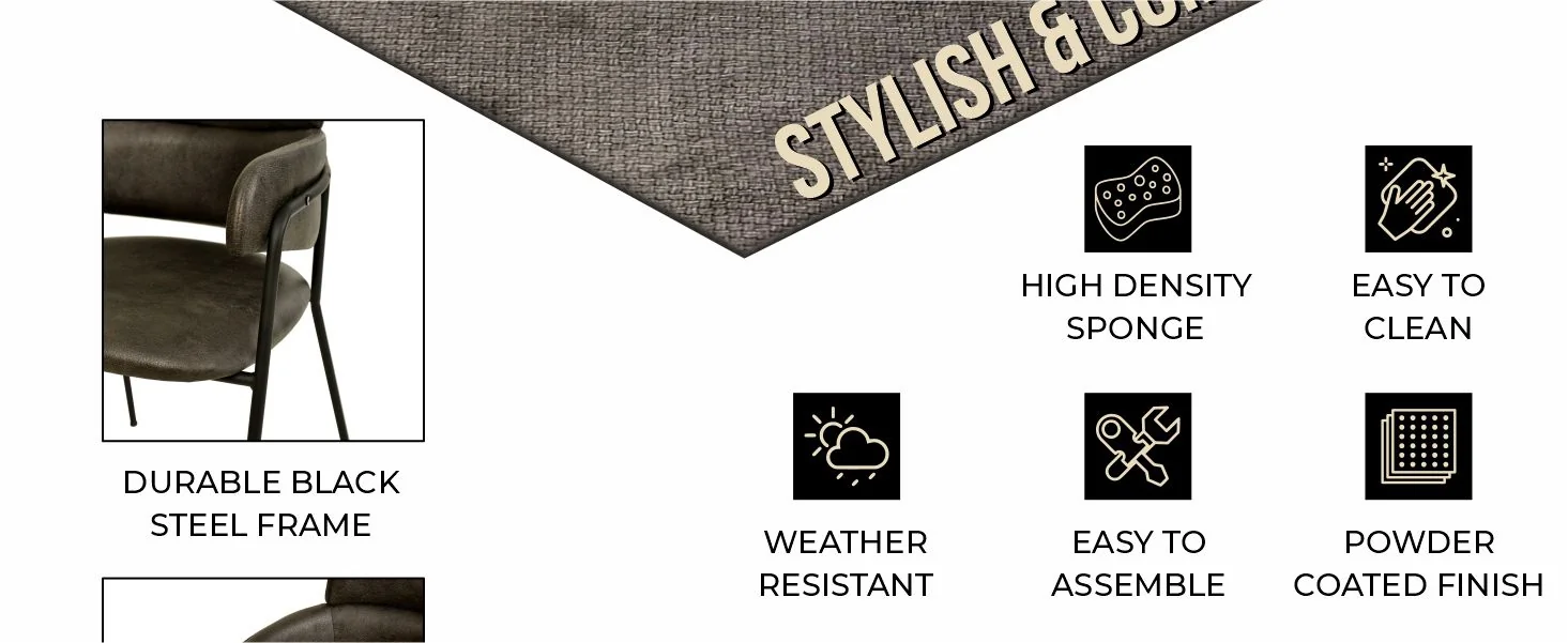 Axis Collection Modern Dining Chair in Charcoal - Set of 2