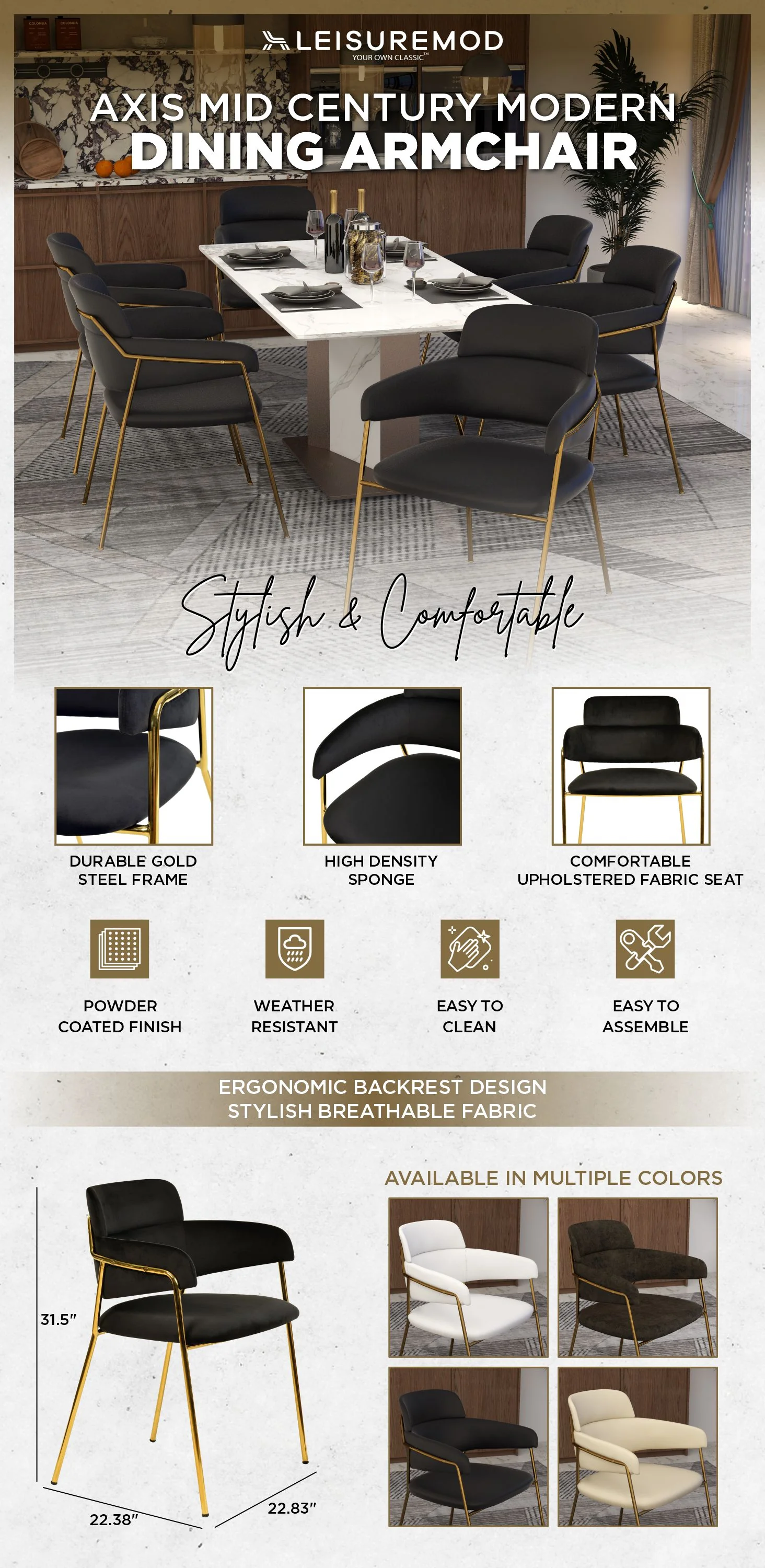 Axis Collection Modern Gold Dining Chair in Black