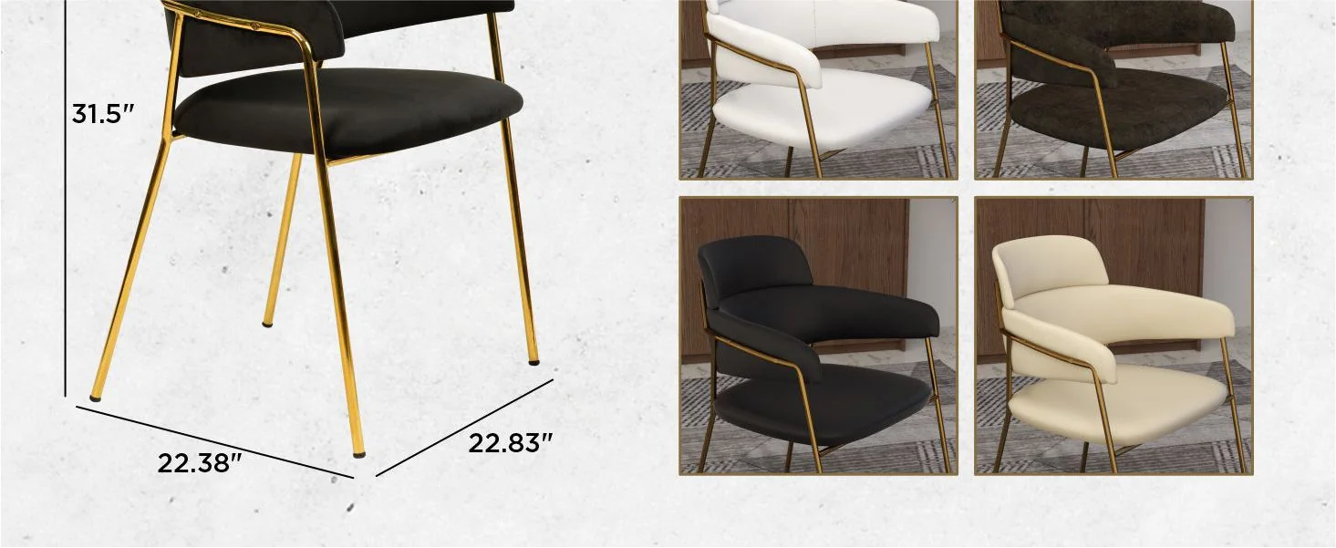 Axis Collection Modern Gold Dining Chair in Black
