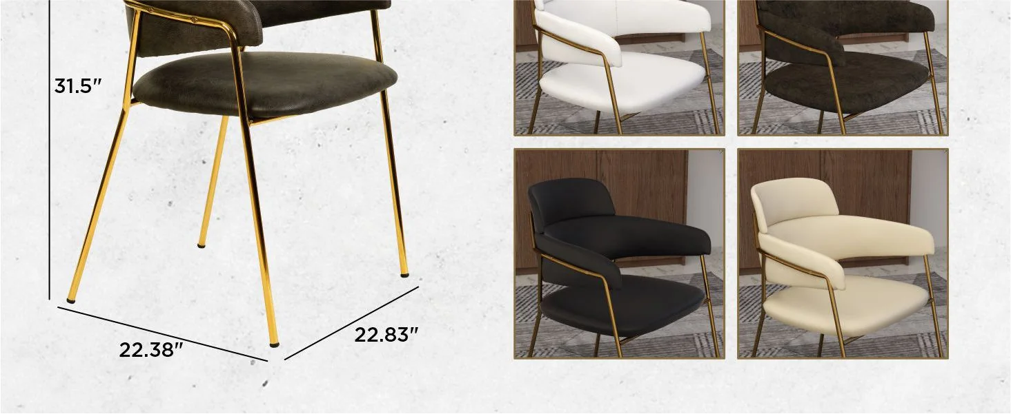 Axis Collection Modern Gold Dining Chair in Charcoal