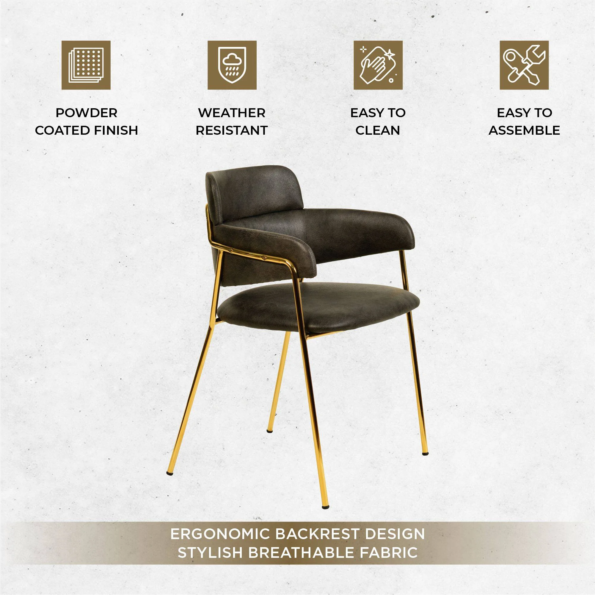 Axis Collection Modern Gold Dining Chair in Charcoal - Set of 2