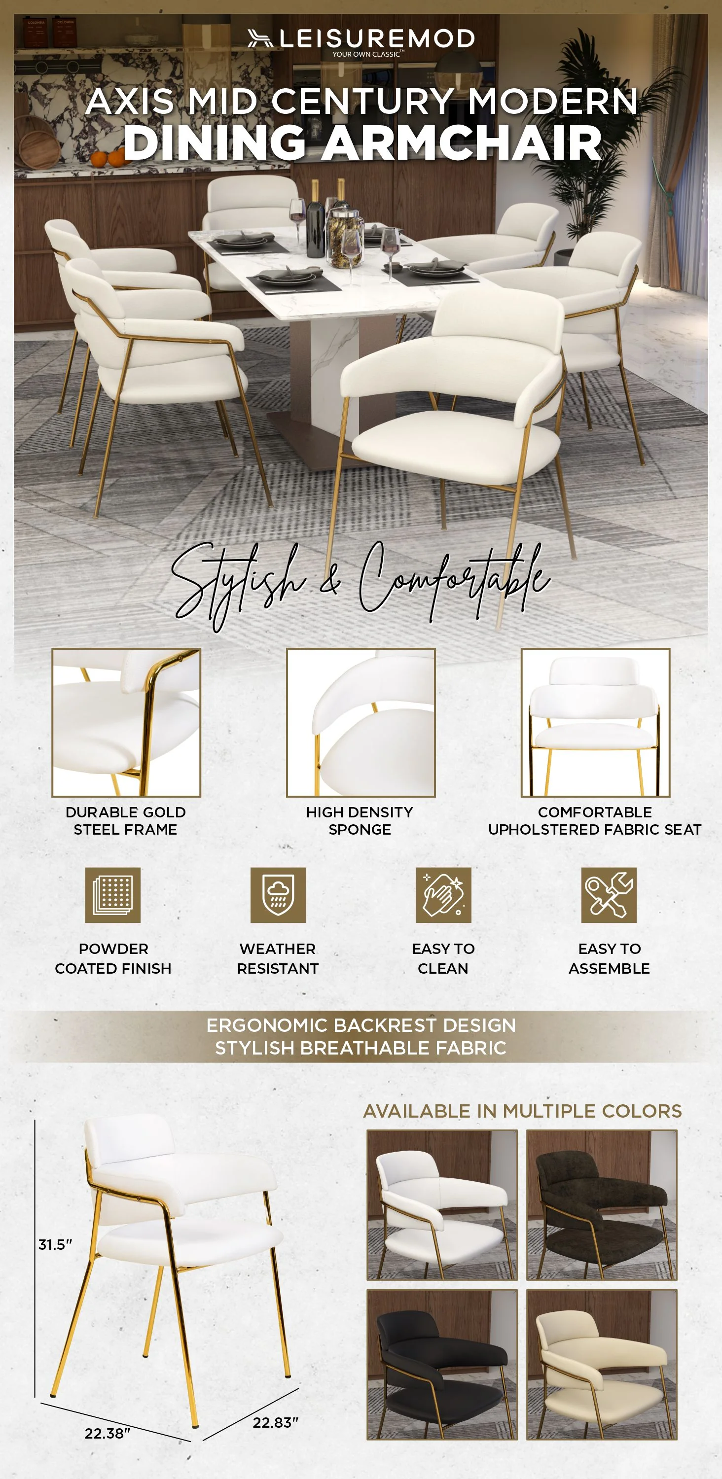 Axis Collection Modern Gold Dining Chair in White
