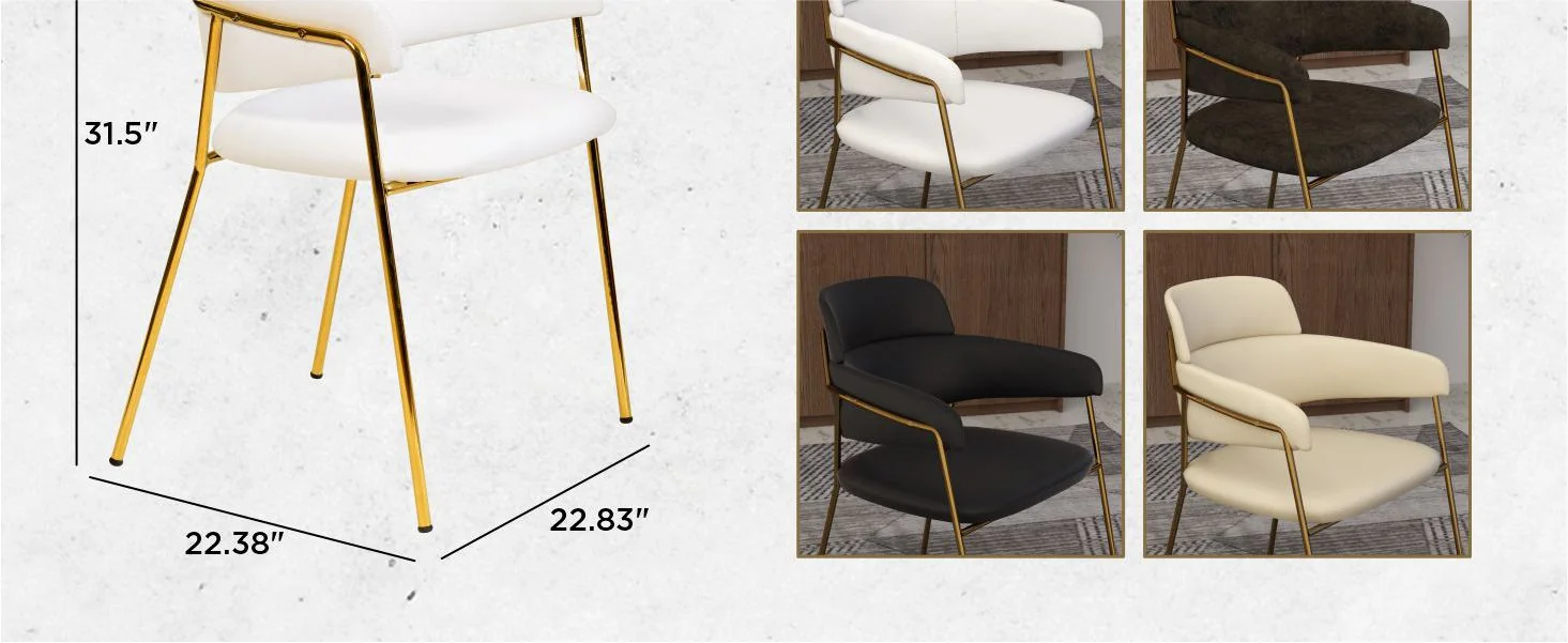 Axis Collection Modern Gold Dining Chair in White