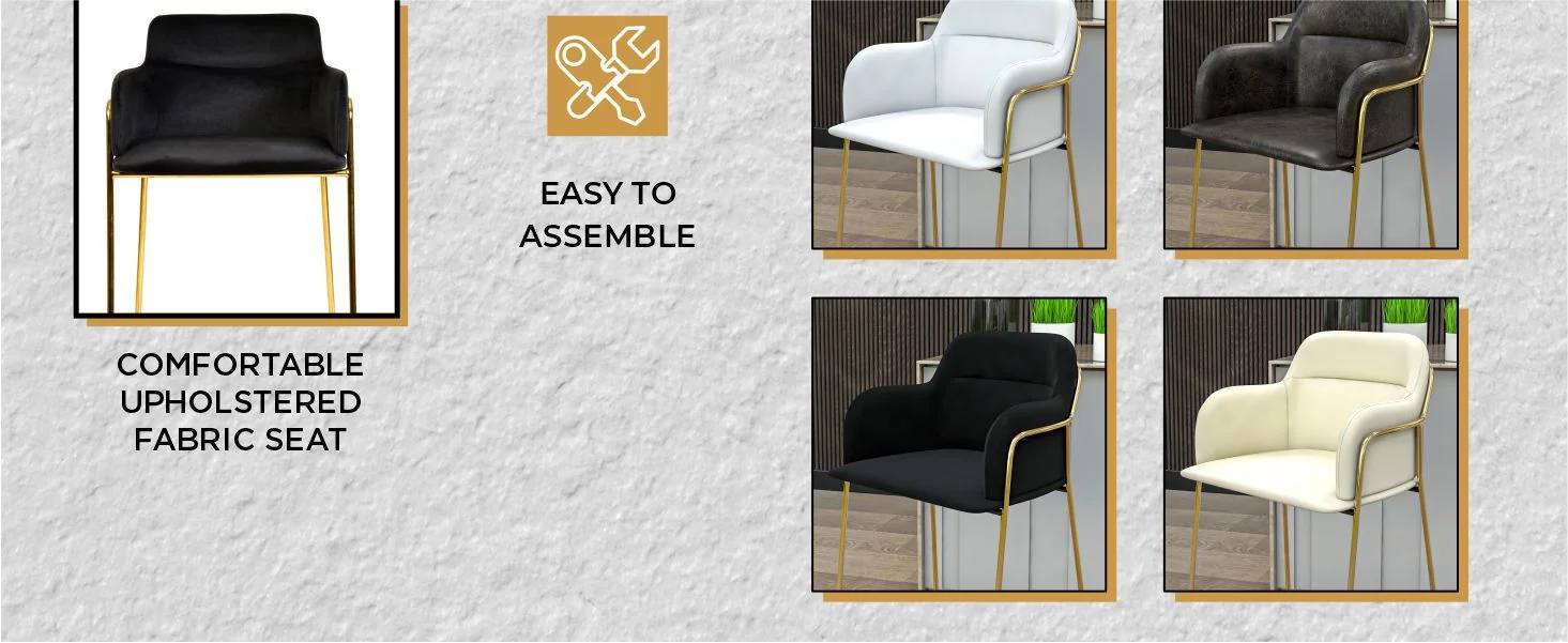 Axis Collection Modern Gold Bar height Chair in Charcoal