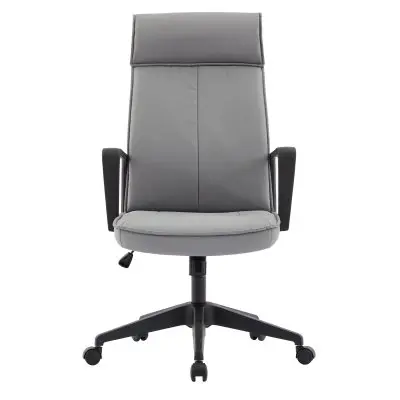 Aiaria Collection Modern Office Chair In Grey