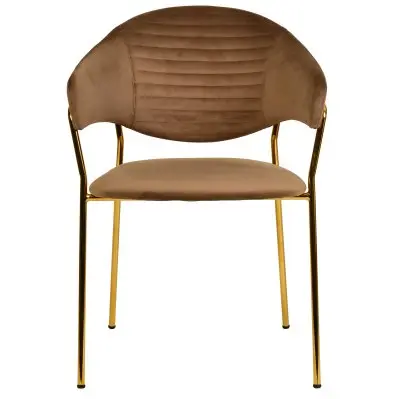 Bella Collection Modern Dining Chair in Brown