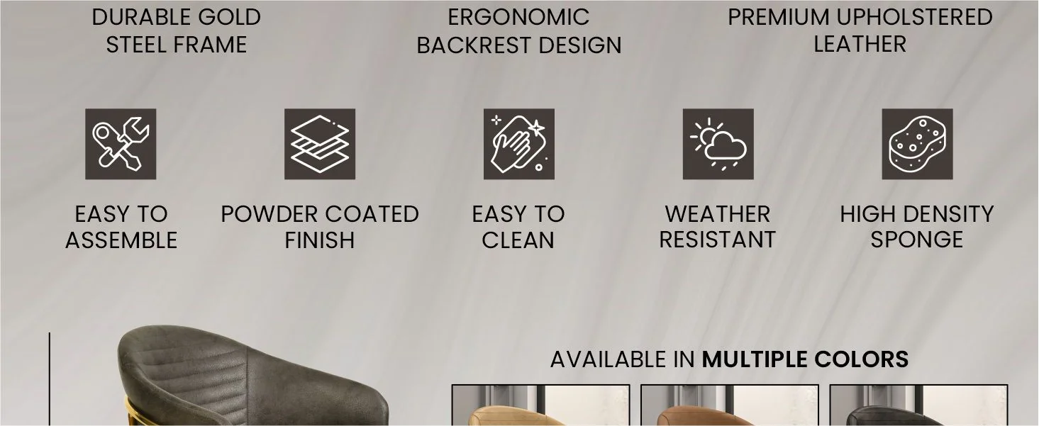 Bella Collection Modern Dining Chair in Charcoal Set of 2