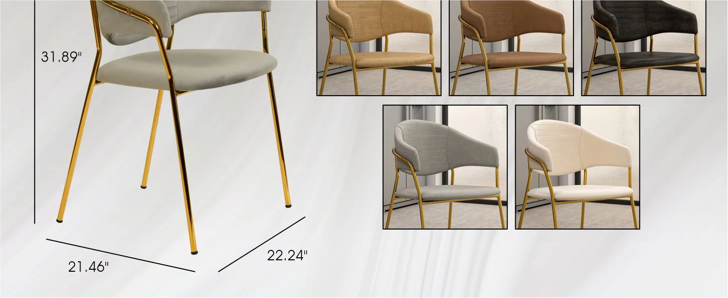 Bella Collection Modern Dining Chair in Light Grey