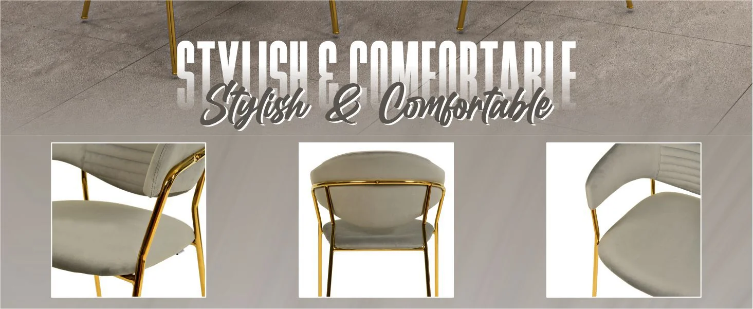 Bella Collection Modern Dining Chair in Light Grey