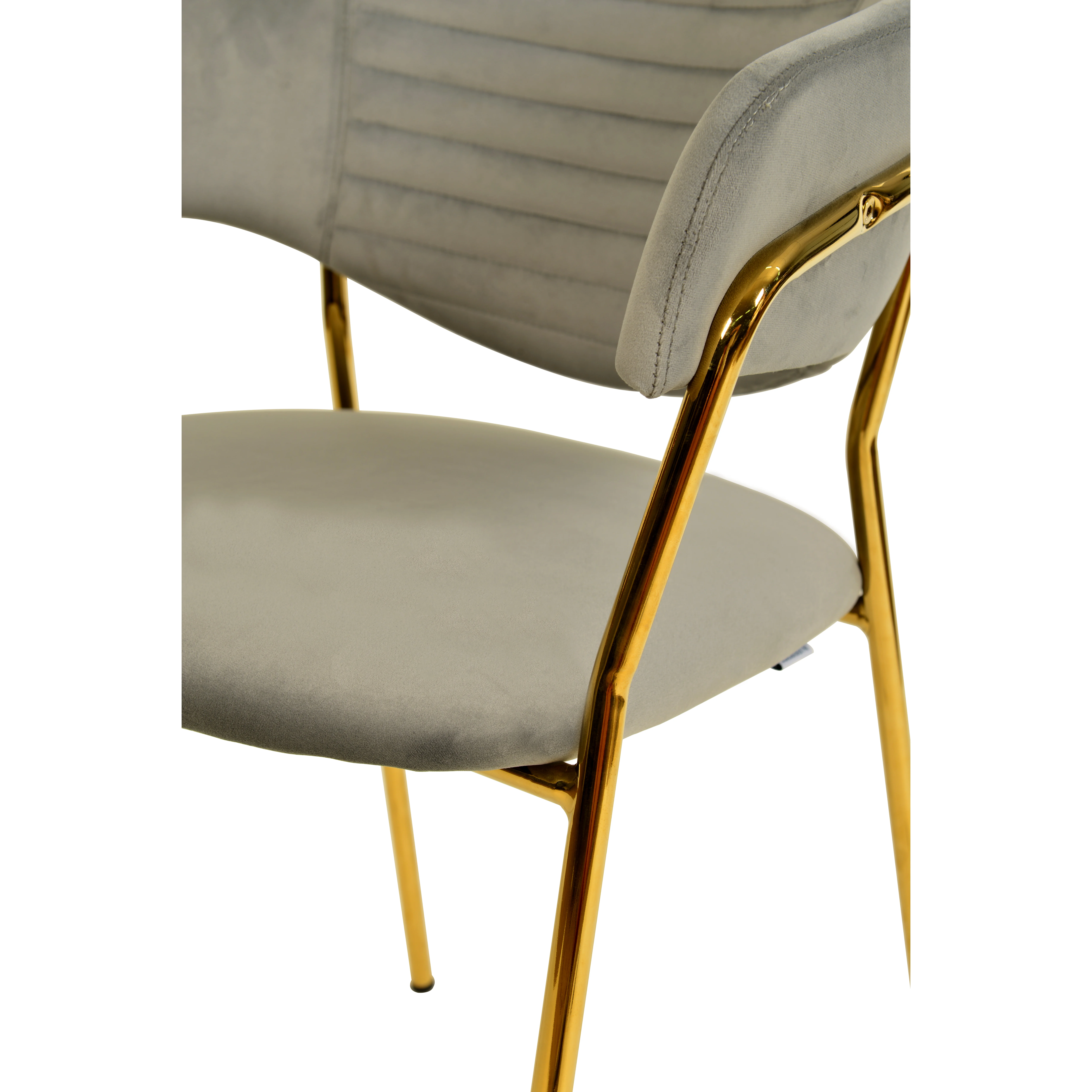 Bella Collection Modern Dining Chair in Light Grey