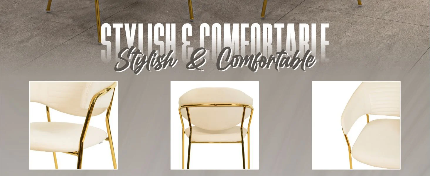 Bella Collection Modern Dining Chair in Off White Set of 2