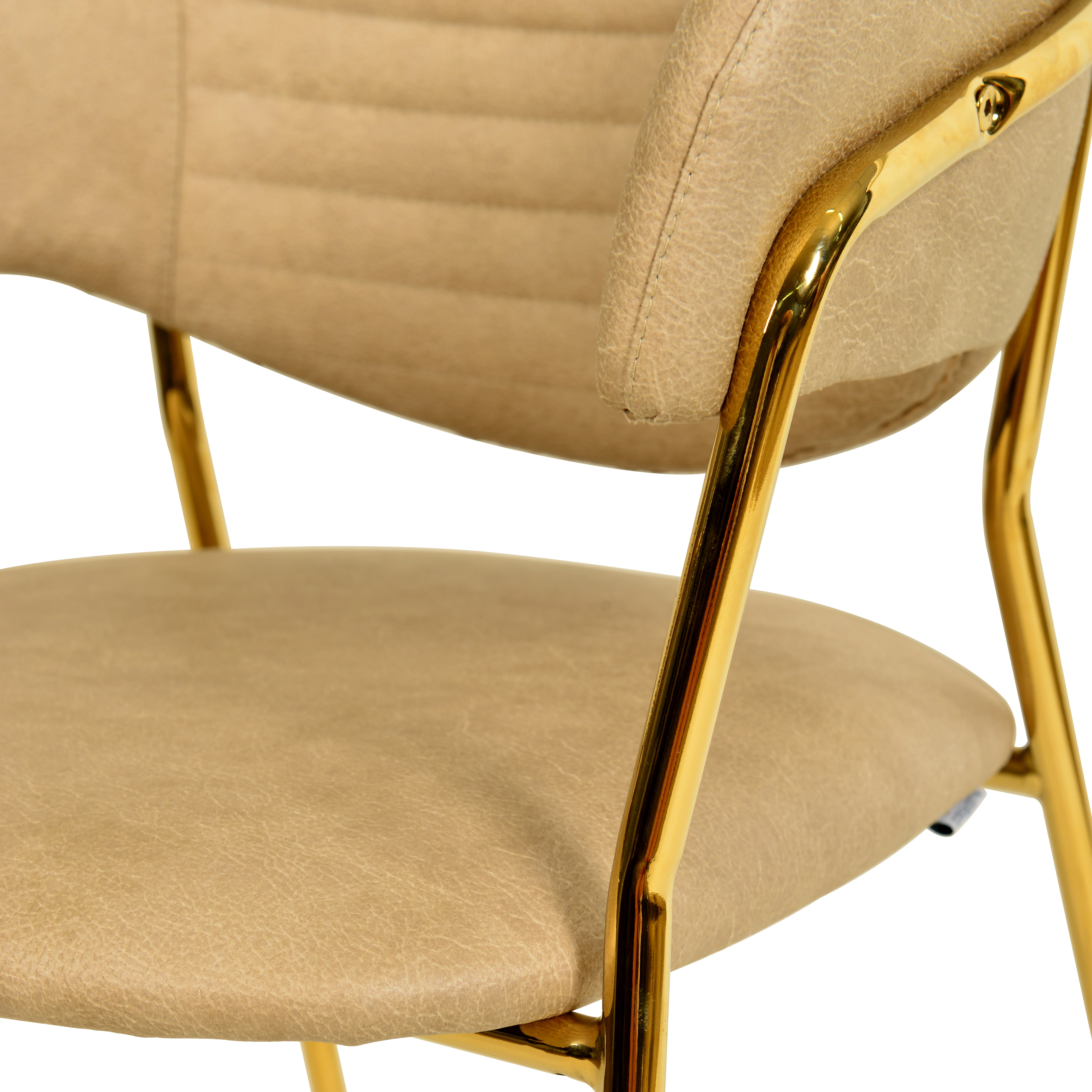 Bella Collection Modern Dining Chair in Toupe