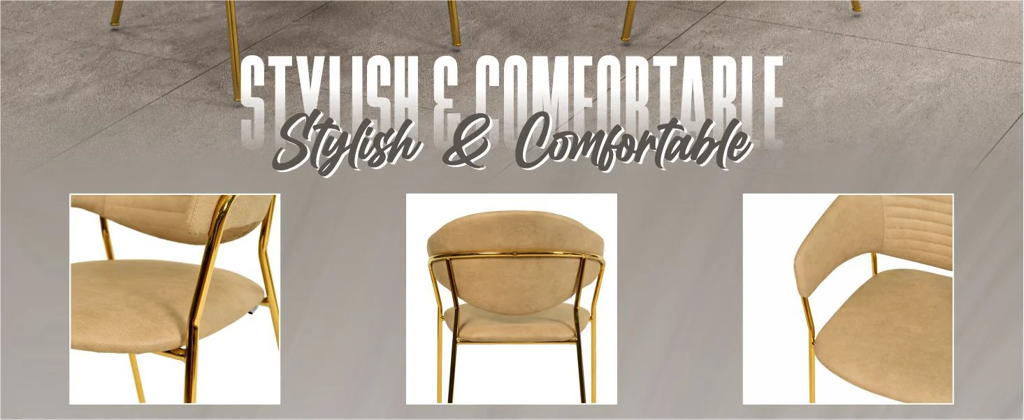 Bella Collection Modern Dining Chair in Taupe Set of 2