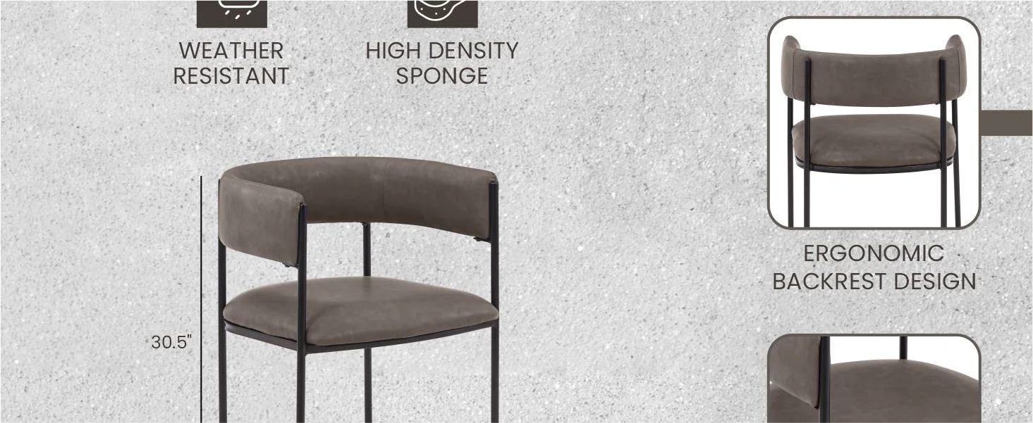 Cyril Collection Modern Chair in Charcoal