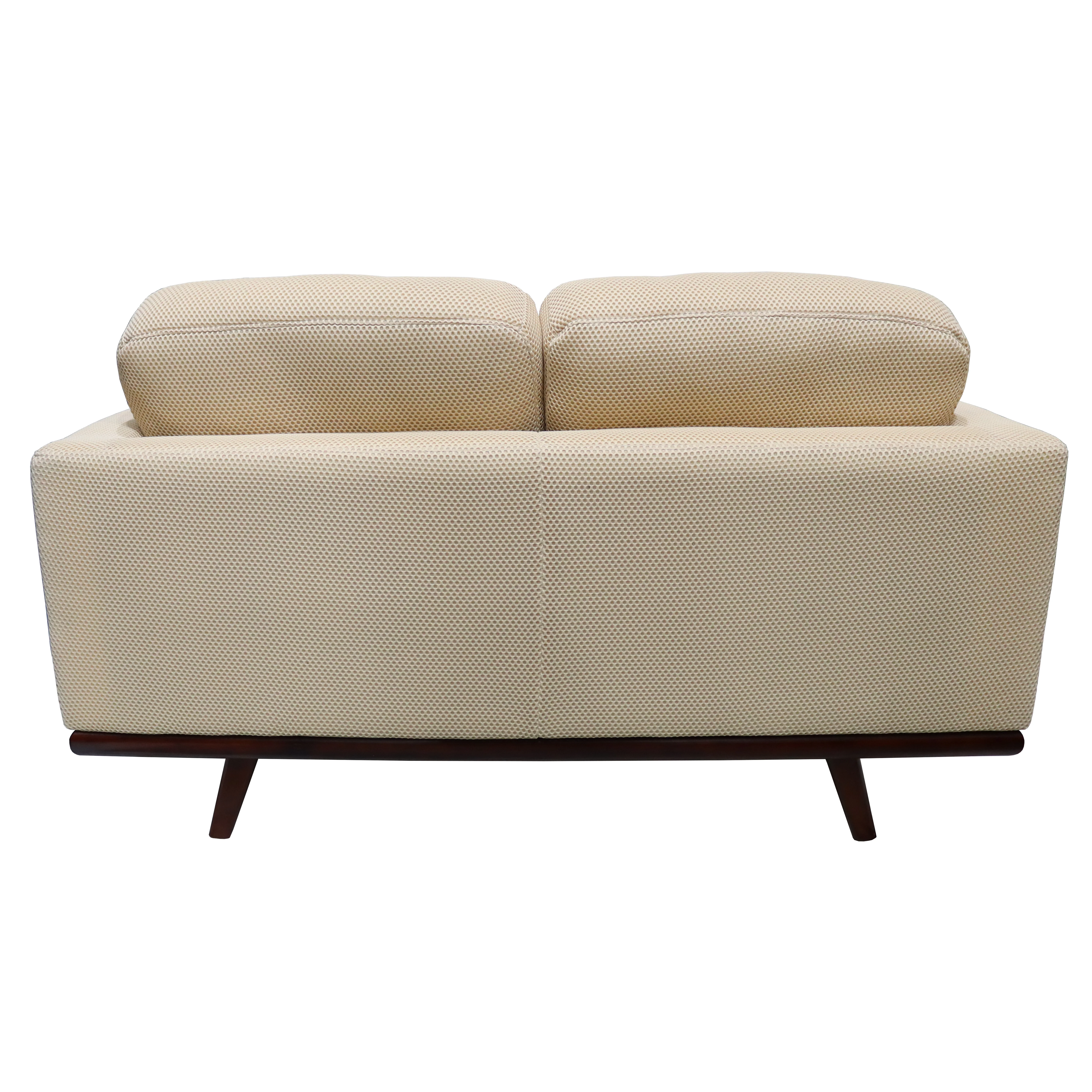 Chester Modern Faux Leather Loveseat in Beige Mesh