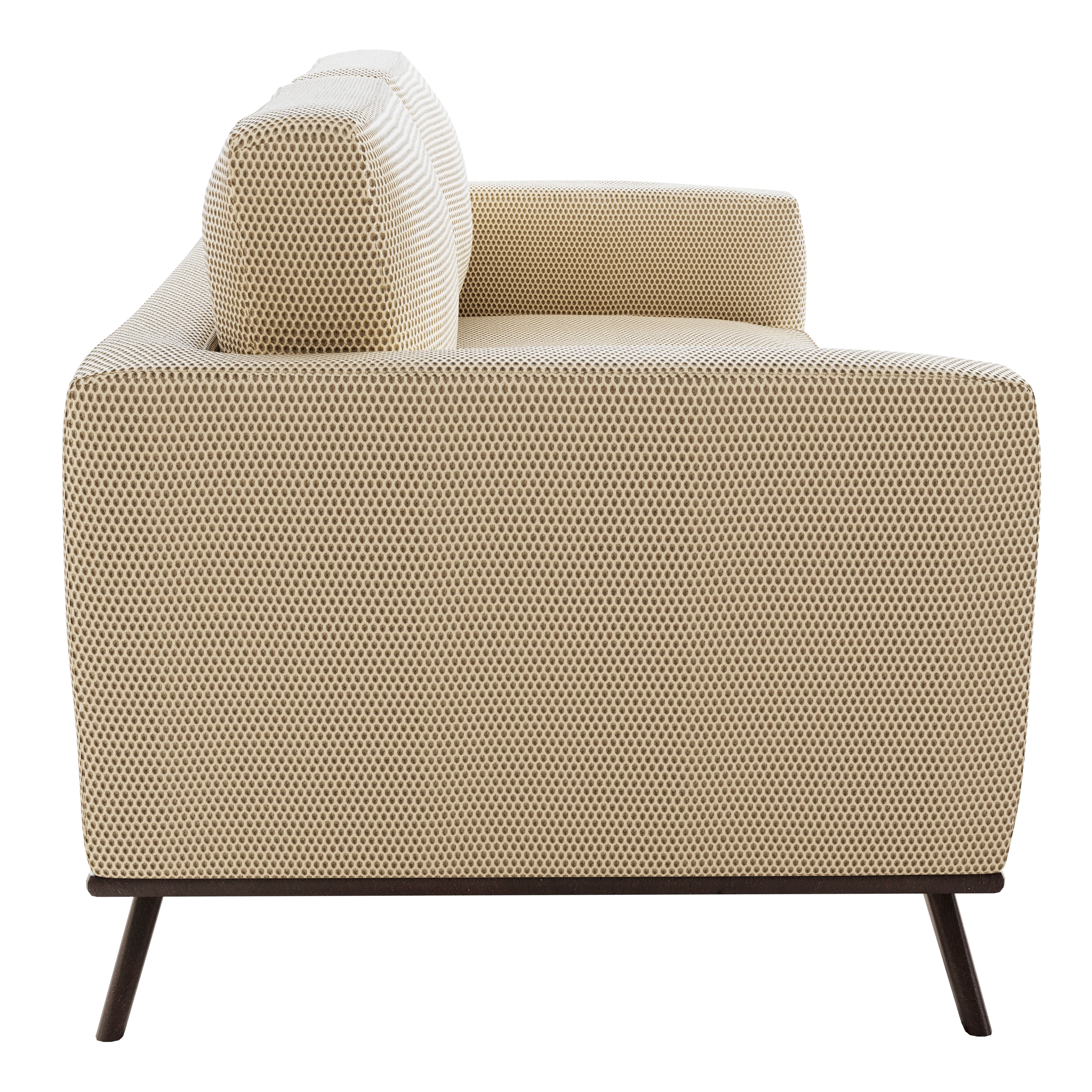 Chester Modern Faux Leather Loveseat in Beige Mesh