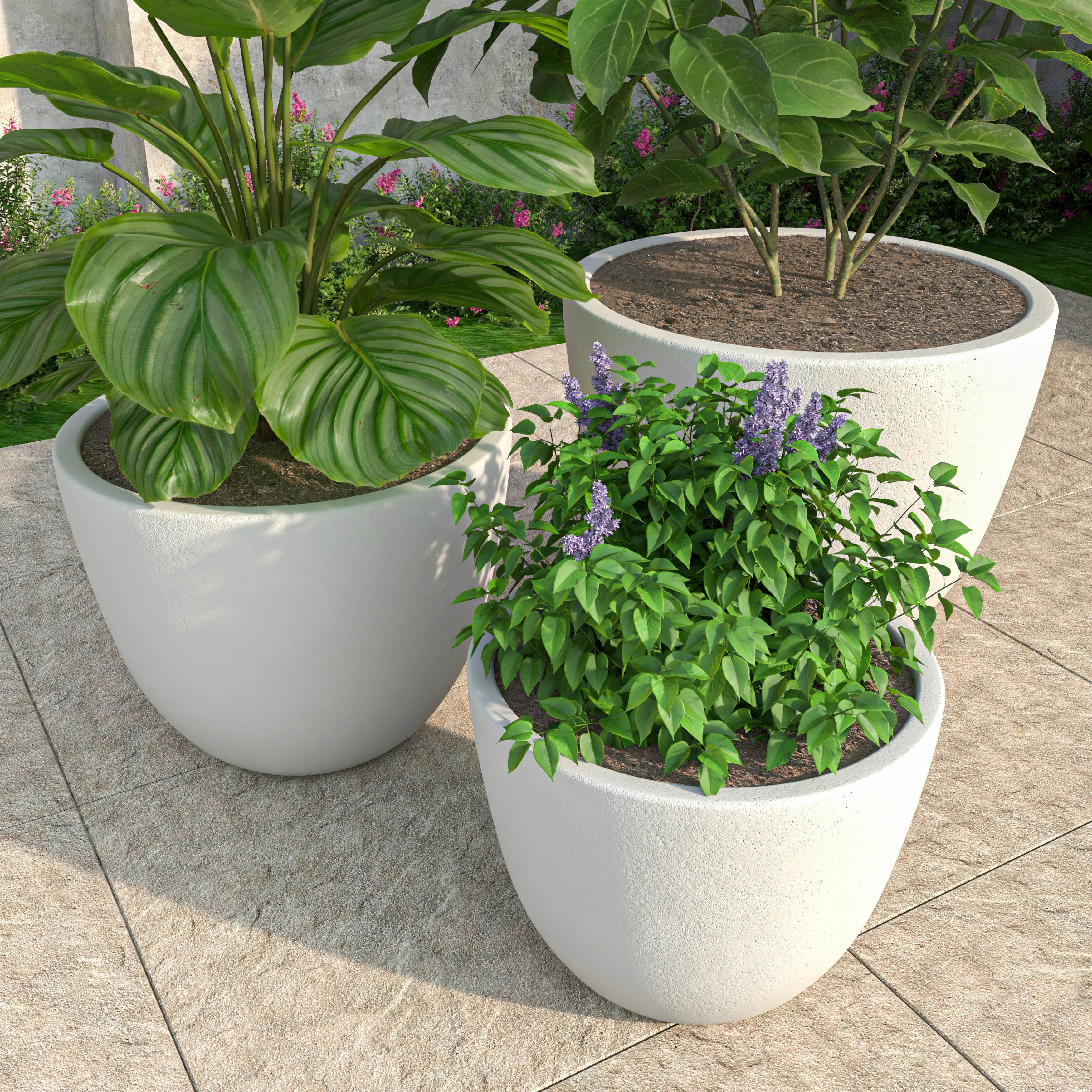 Dahlia Series Poly Stone Planter Set in White
