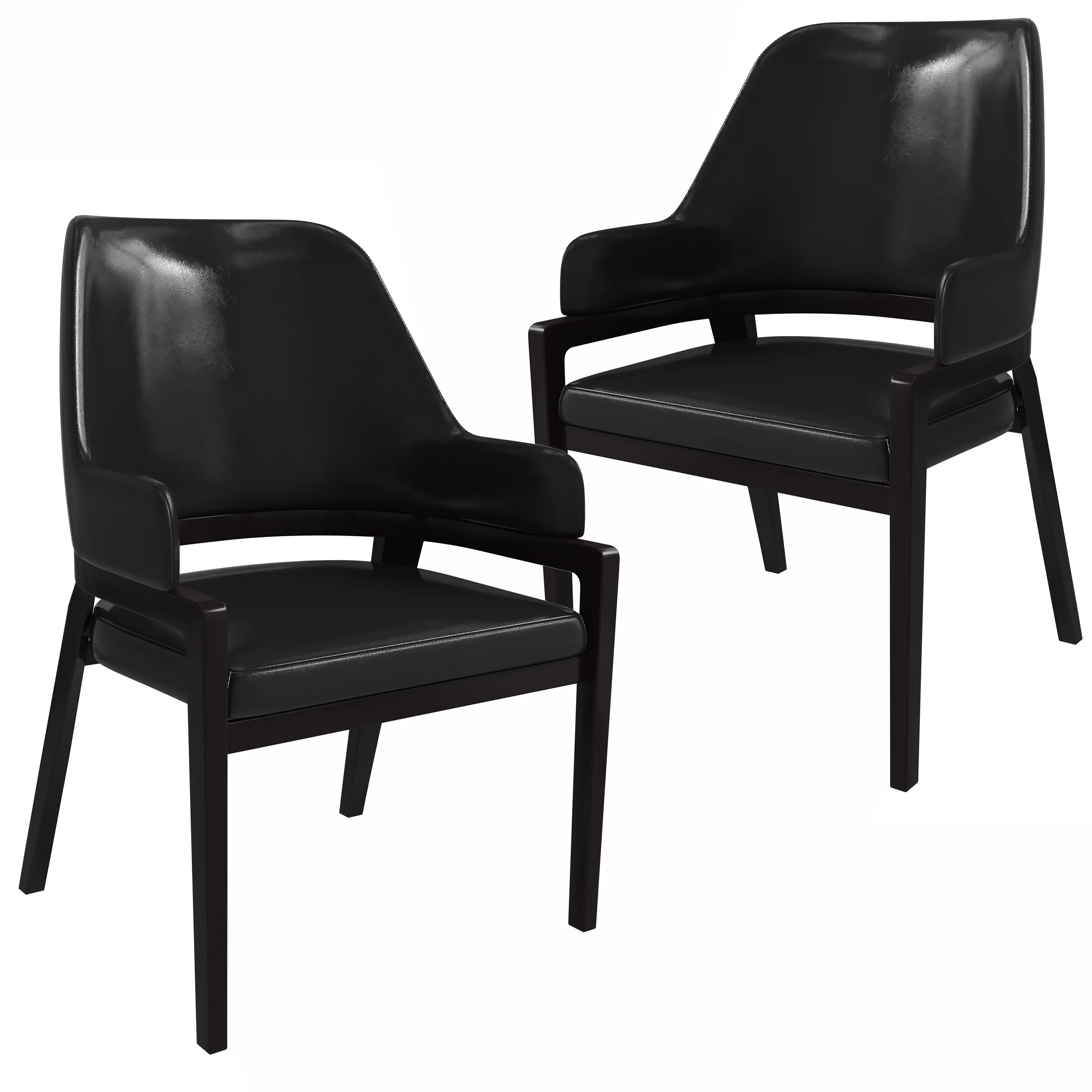 Ethora Collection Modern Wooden Dining Chair in Black Set of 2