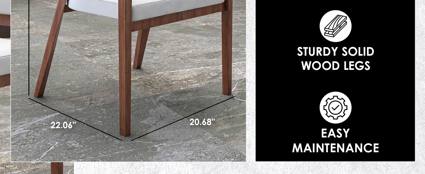 Ethora Collection Modern Wooden Dining Chair in White