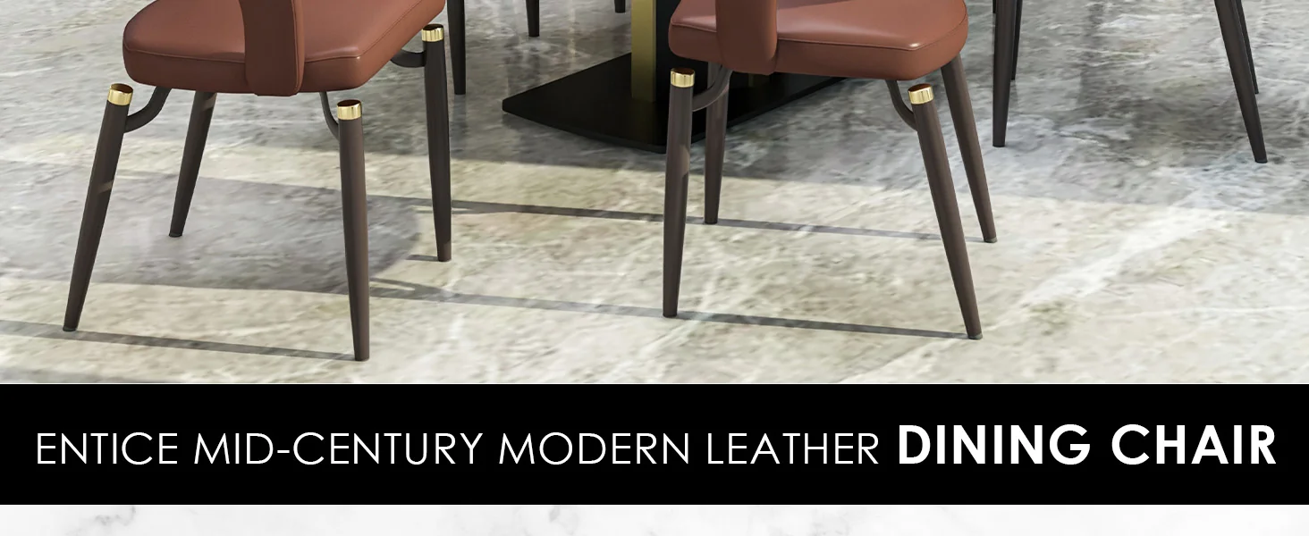 Entice Collection Modern Dining Chair Set of 4 in Brown