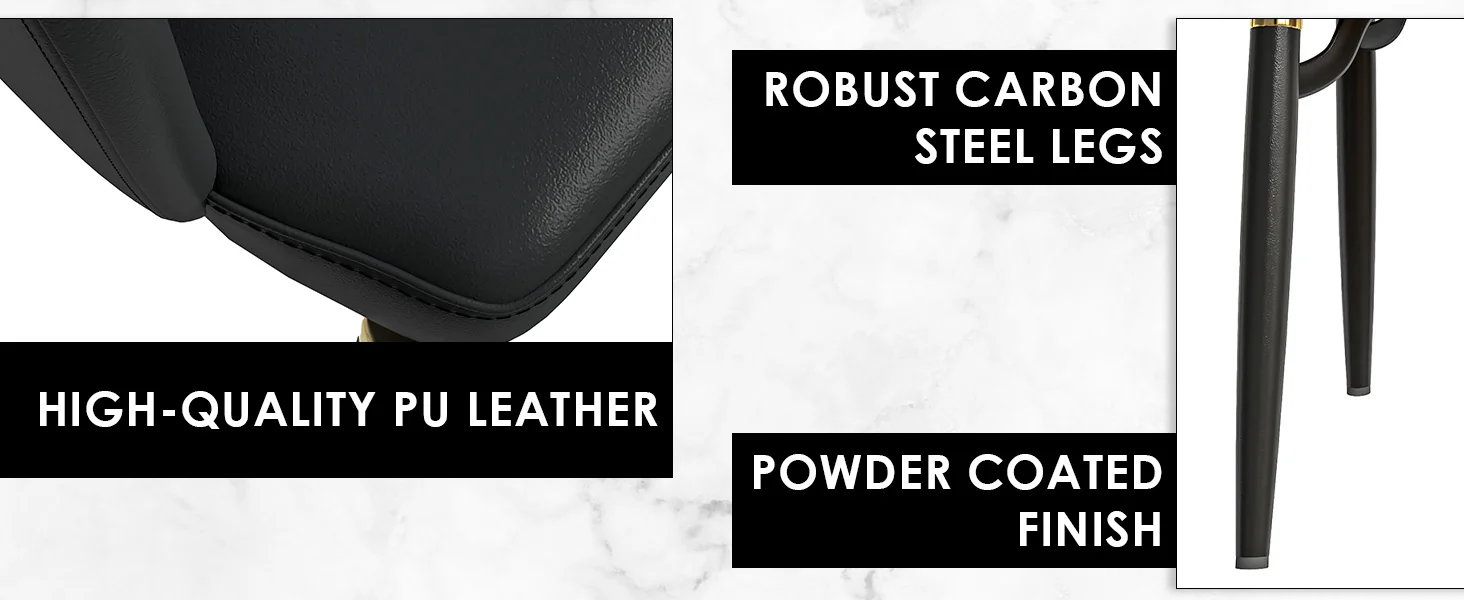 Entice Collection Modern Dining Chair Set of 2 in Charcoal Black