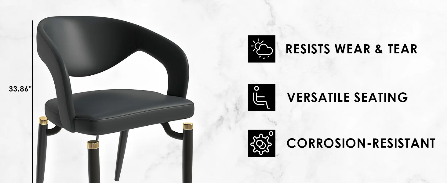 Entice Collection Modern Dining Chair Set of 2 in Charcoal Black