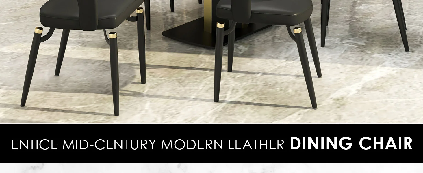 Entice Collection Modern Dining Chair Set of 2 in Charcoal Black