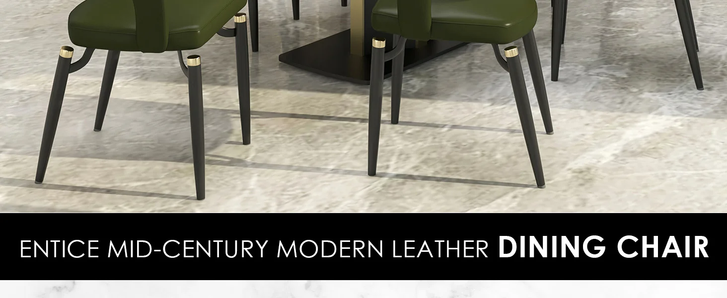 Entice Collection Modern Dining Chair in Green