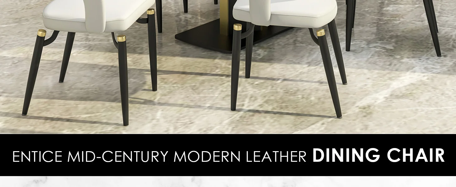 Entice Collection Modern Dining Chair Set of 4 in Grey