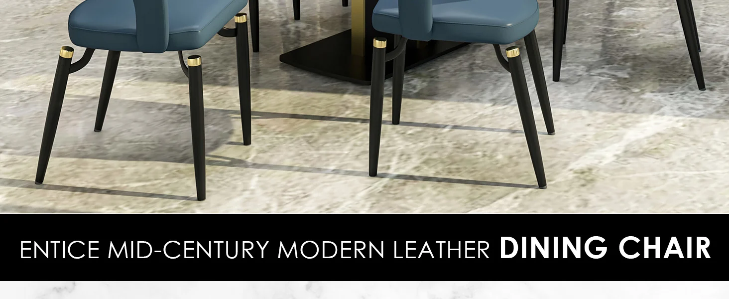 Entice Collection Modern Dining Chair Set of 4 in Blue