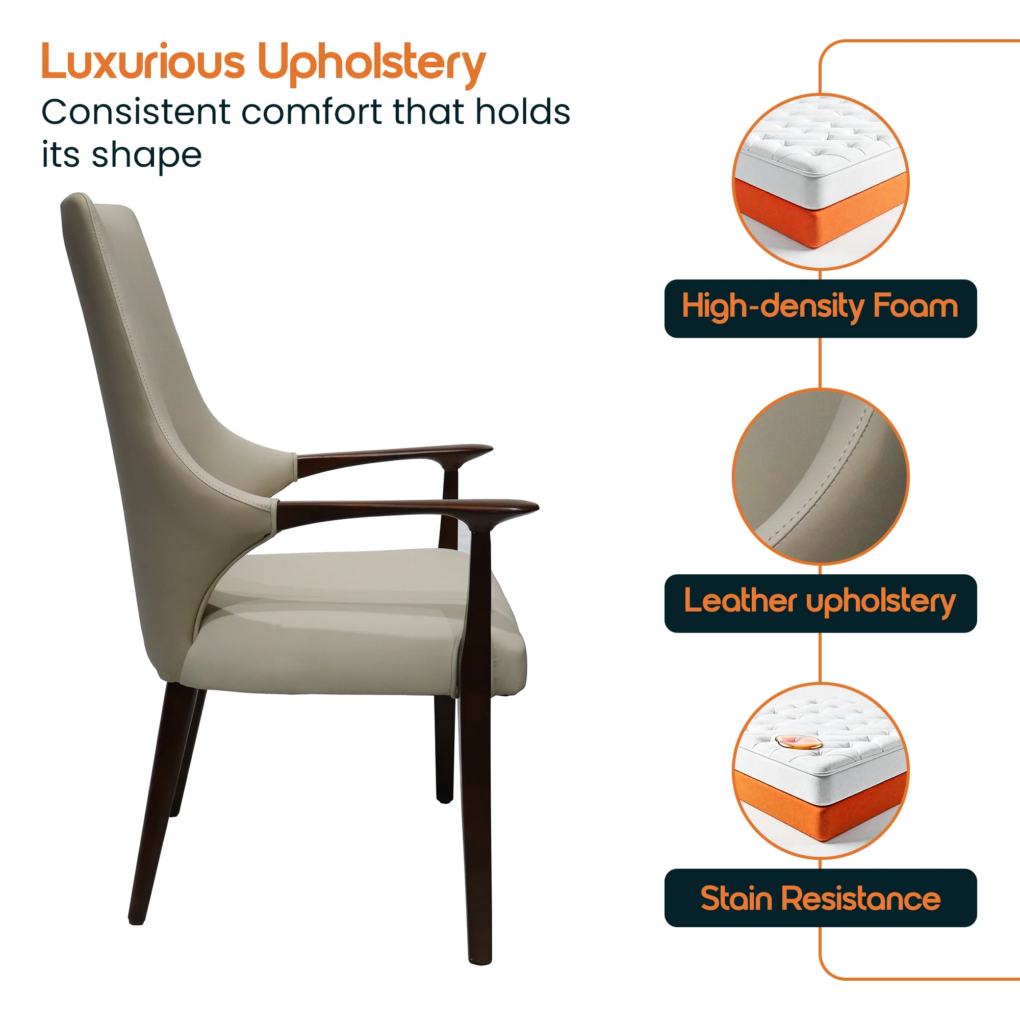 Elm Collection Modern Wooden Dining Arm Chair In Taupe