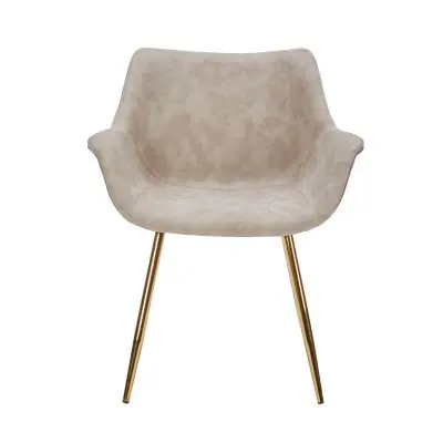 Markley Modern Leather Dining Arm Chair With Gold Legs in Taupe Set of 2