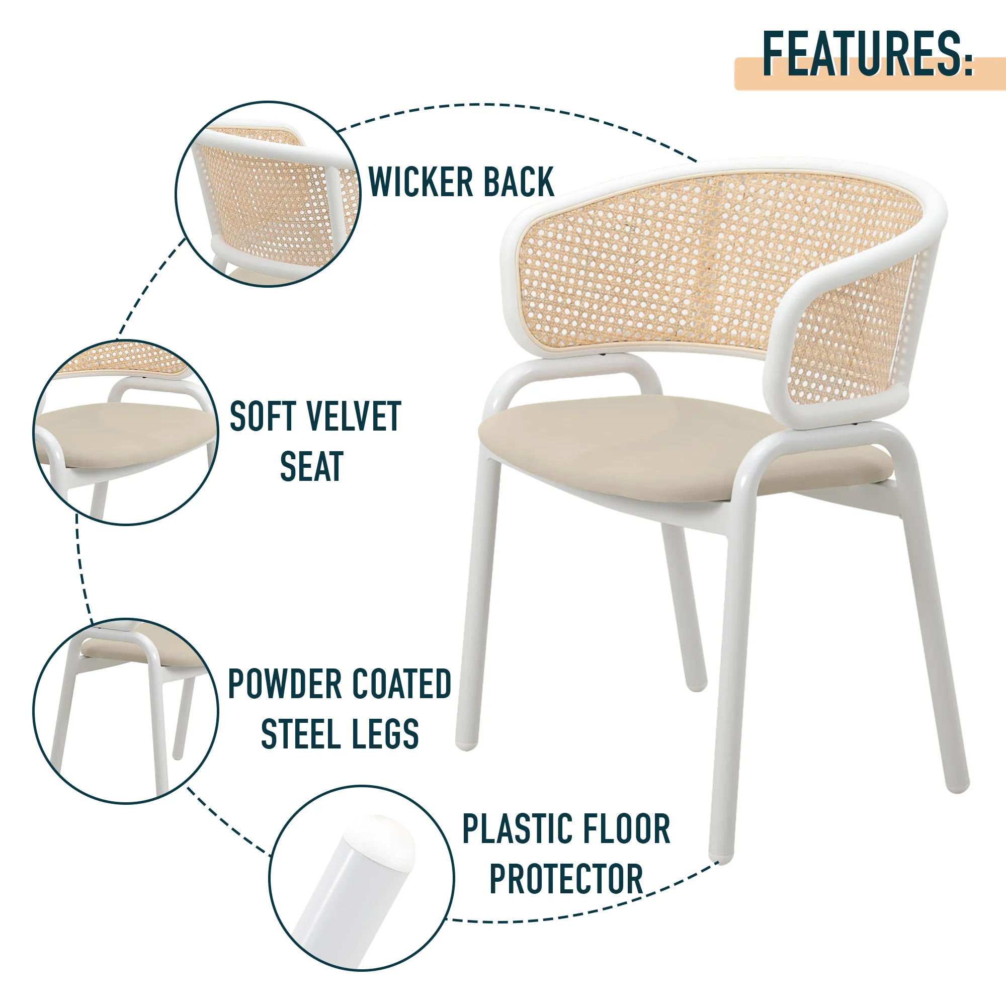 Ervilla - Dining Chair - White frame in Taupe Leather