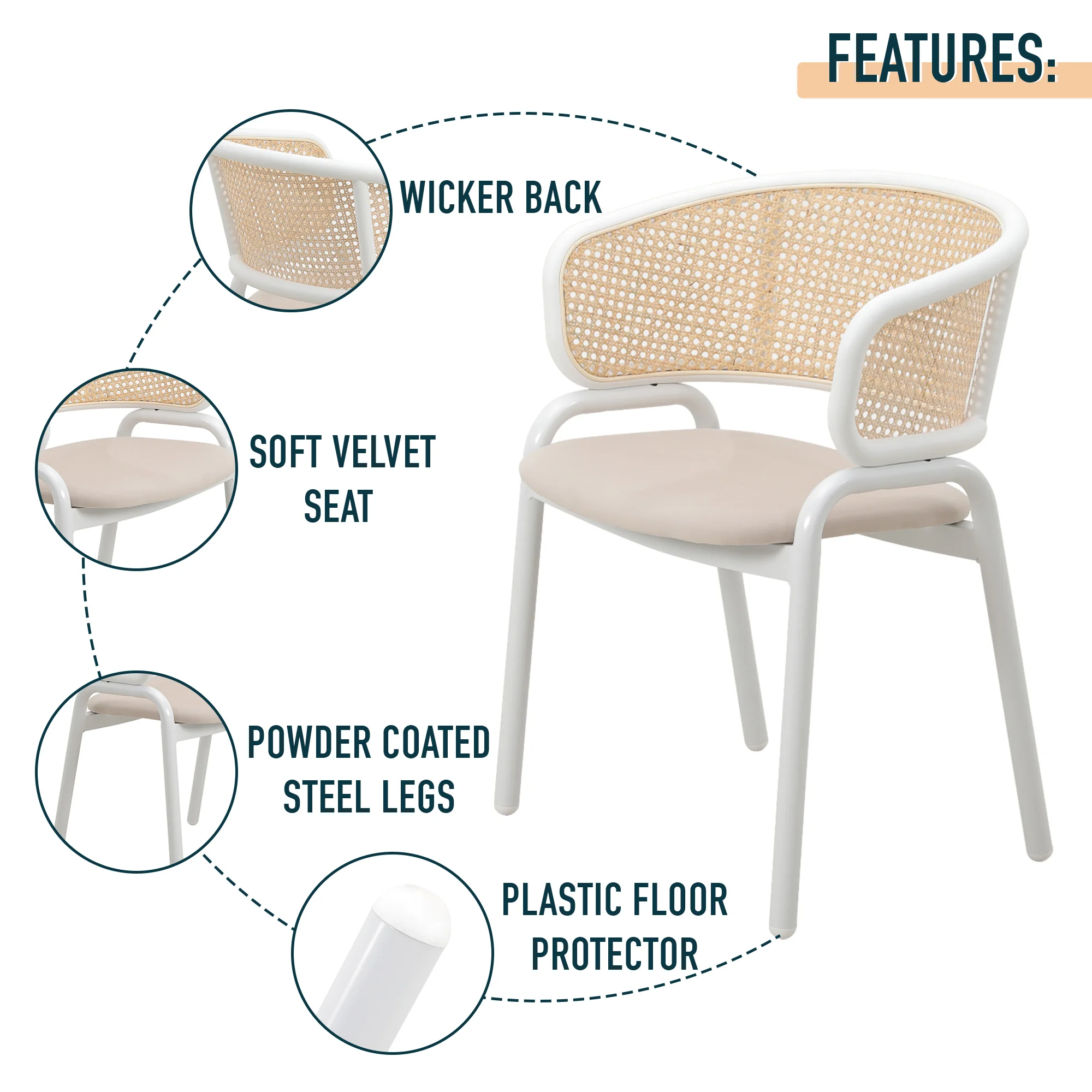Ervilla - Dining Chair - White frame in Taupe Leather