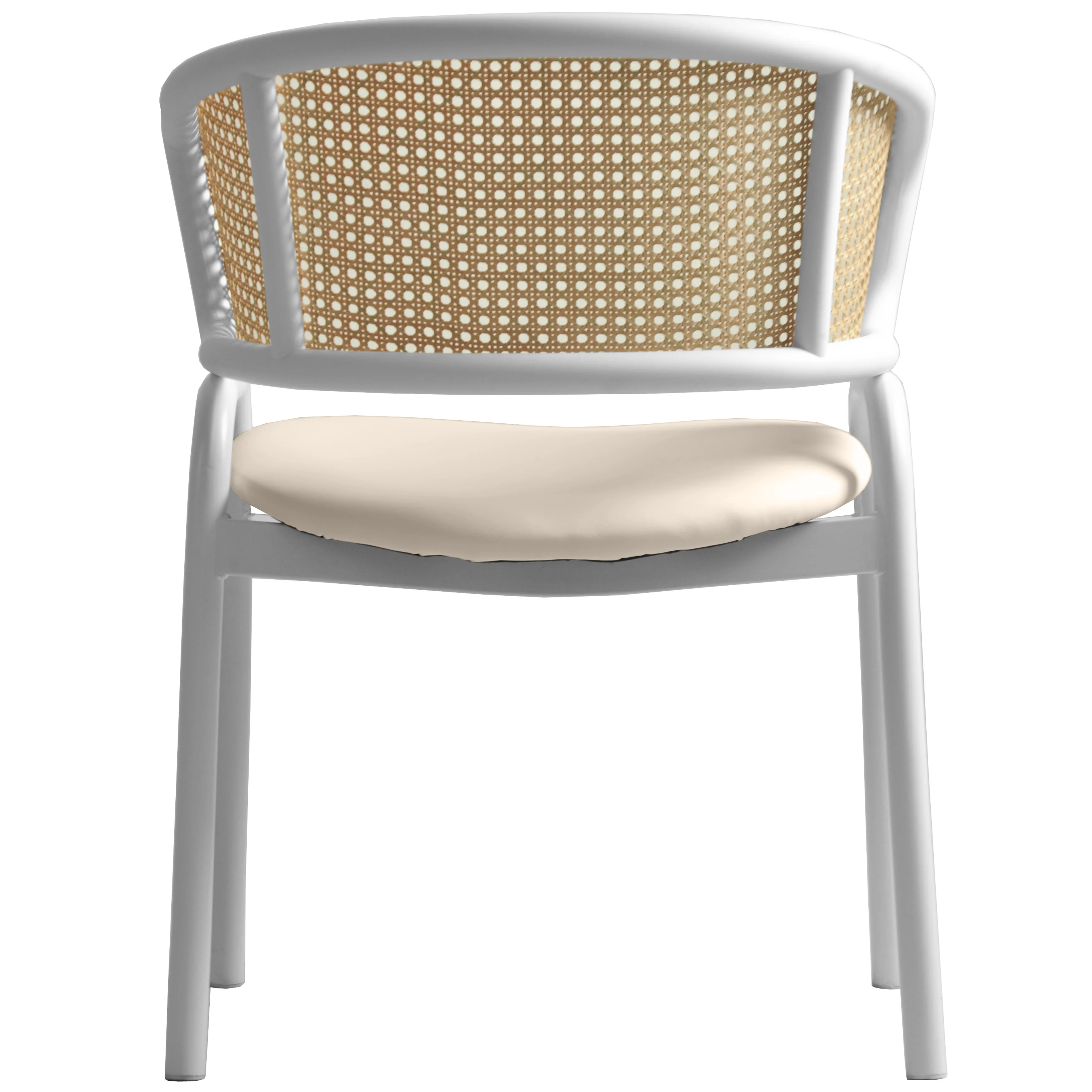 Ervilla - Dining Chair - White frame in White Leather