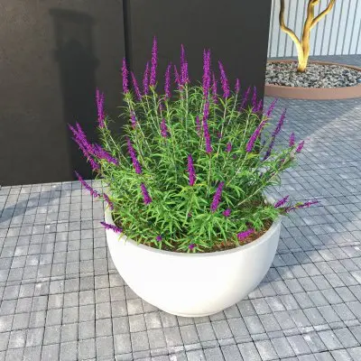 Grove Series Hemisphere Poly Clay Planter in White 14.9 Dia, 7.8 High