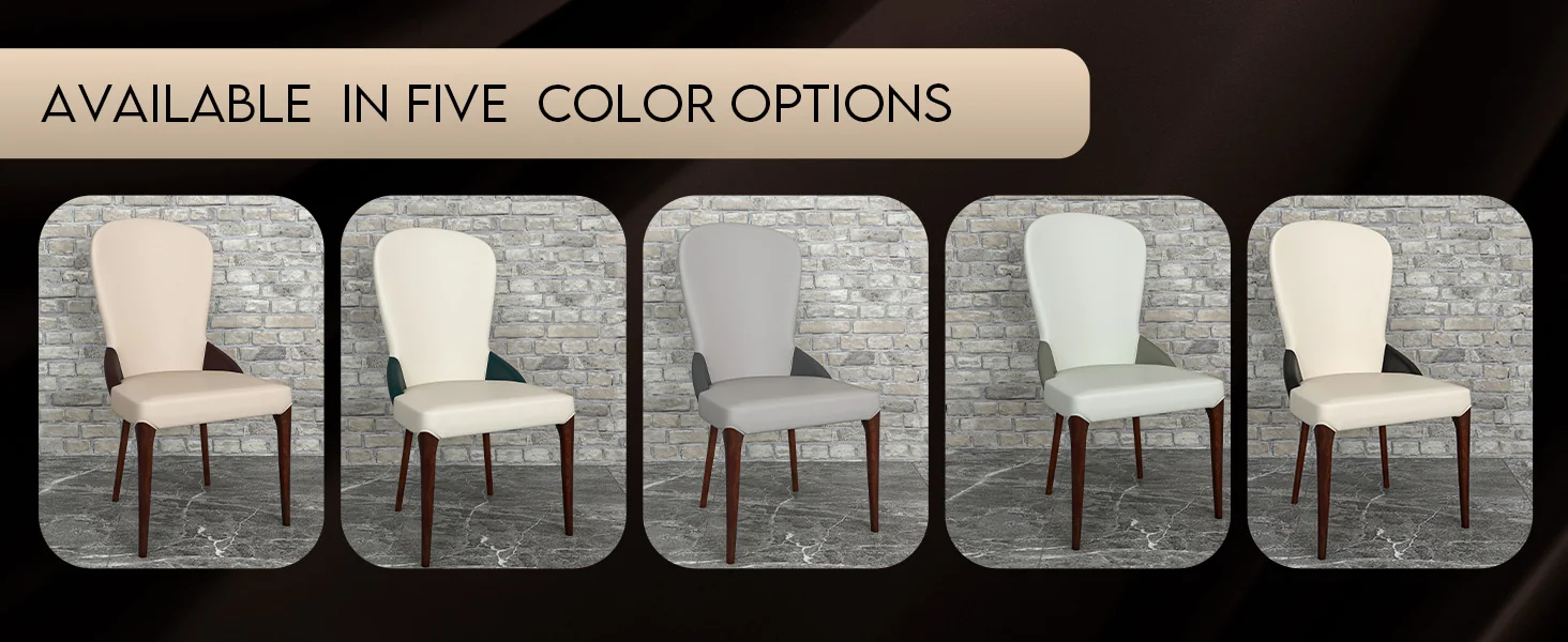 Havana Collection Modern Wooden Dining Chair in Grey