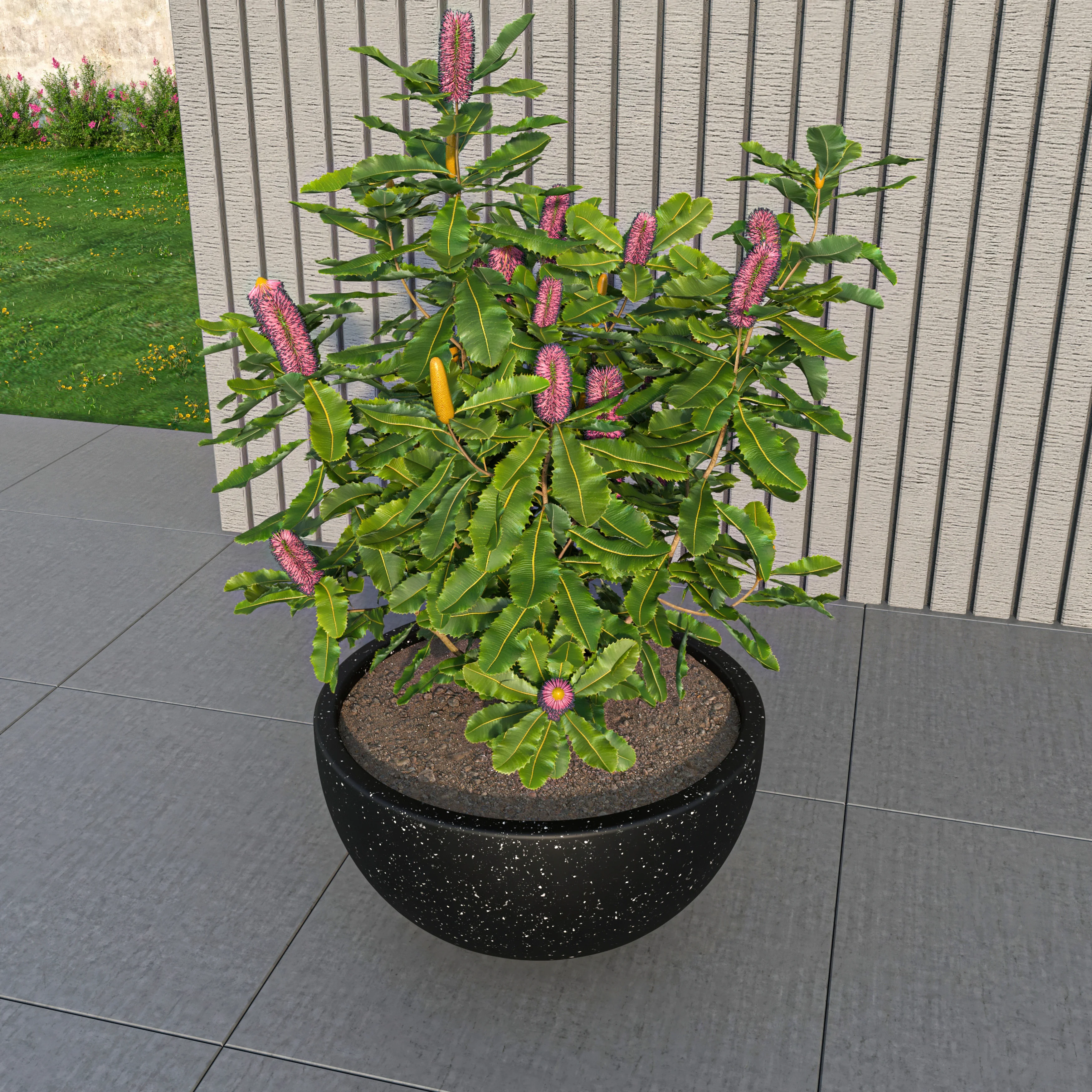 Iris Fiberstone Planter in Black 9 Dia