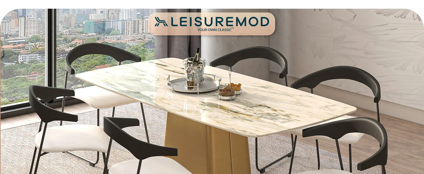 Lyra Collection Modern Chair in Black back and White Seat