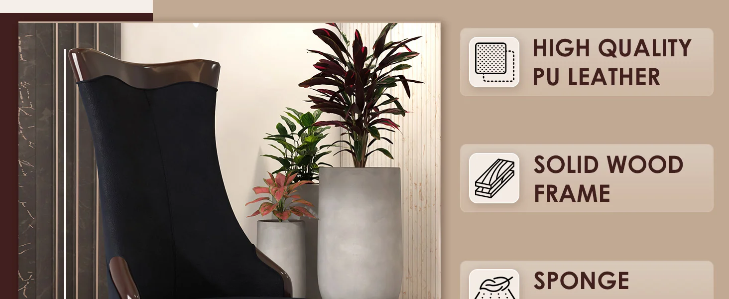 Novara Collection Modern Wooden Dining Chair in Black Velvet