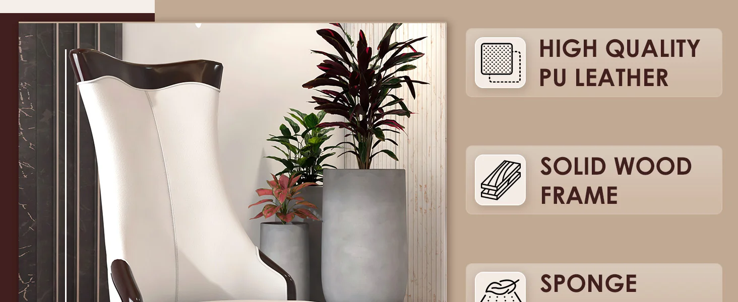 Novara Collection Modern Wooden Dining Chair in Light Cream