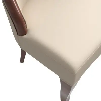 Novara Collection Modern Wooden Dining Chair in Light Toupe