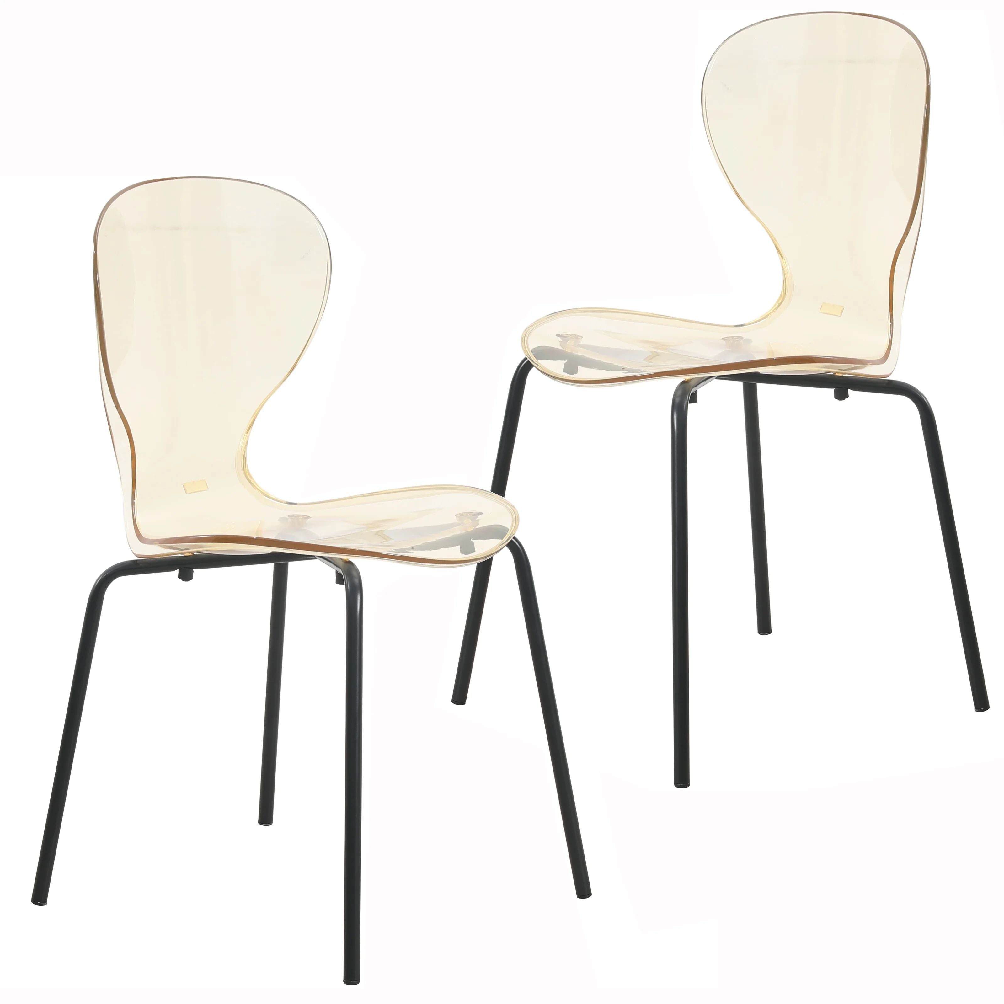 Modern Oyster Transparent Side Chair in Black Base set of 2