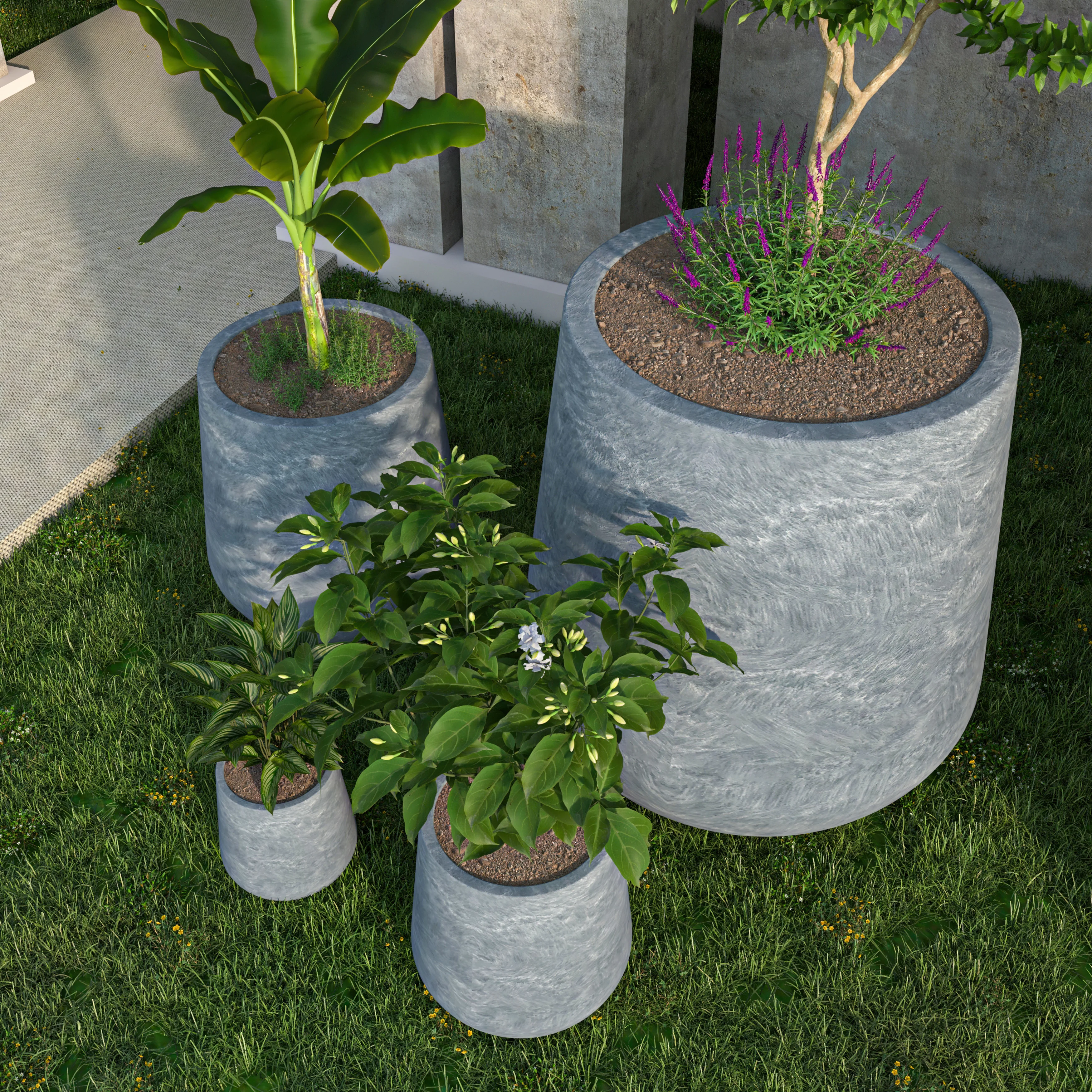 Orchid Planter Set Age Concrete