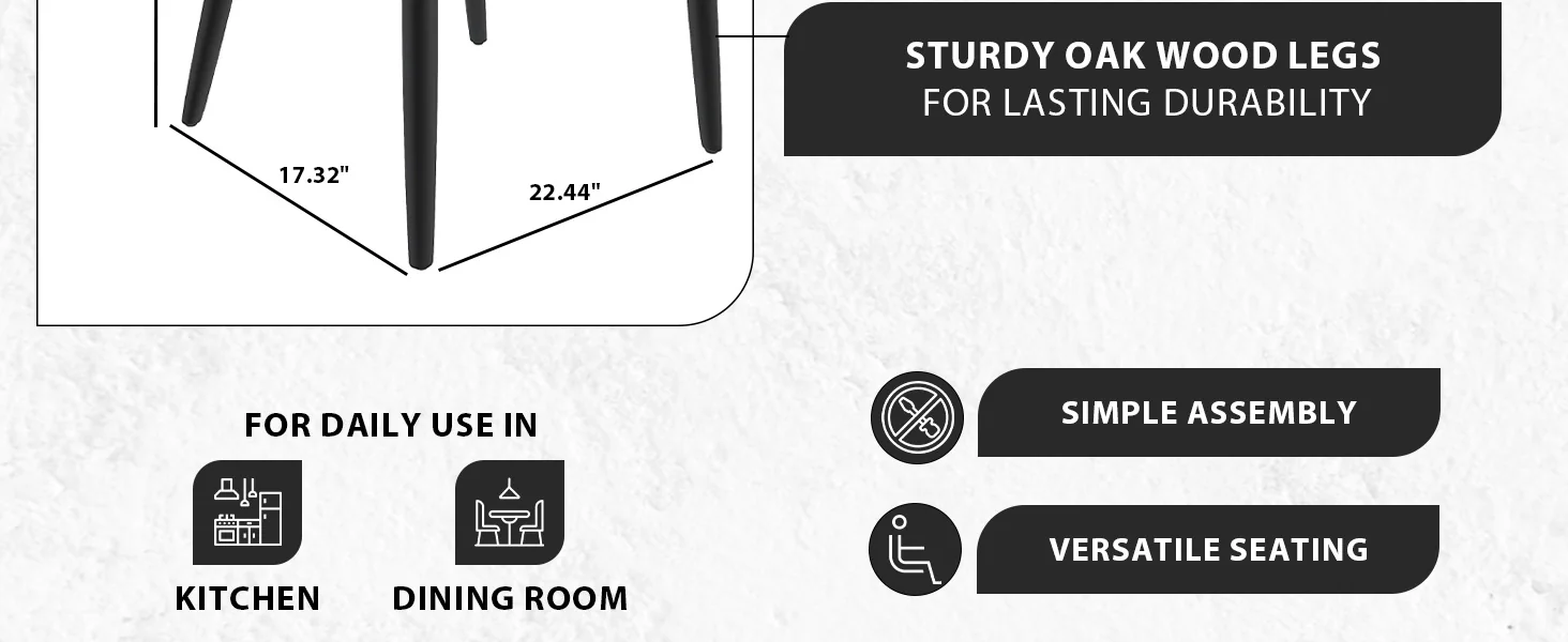 Paradiso Collection Modern Dining Seat in Blue with White Seat  Set of 2