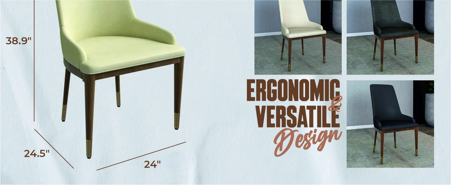 Viva Collection Modern Wooden Dining Chair in Cream