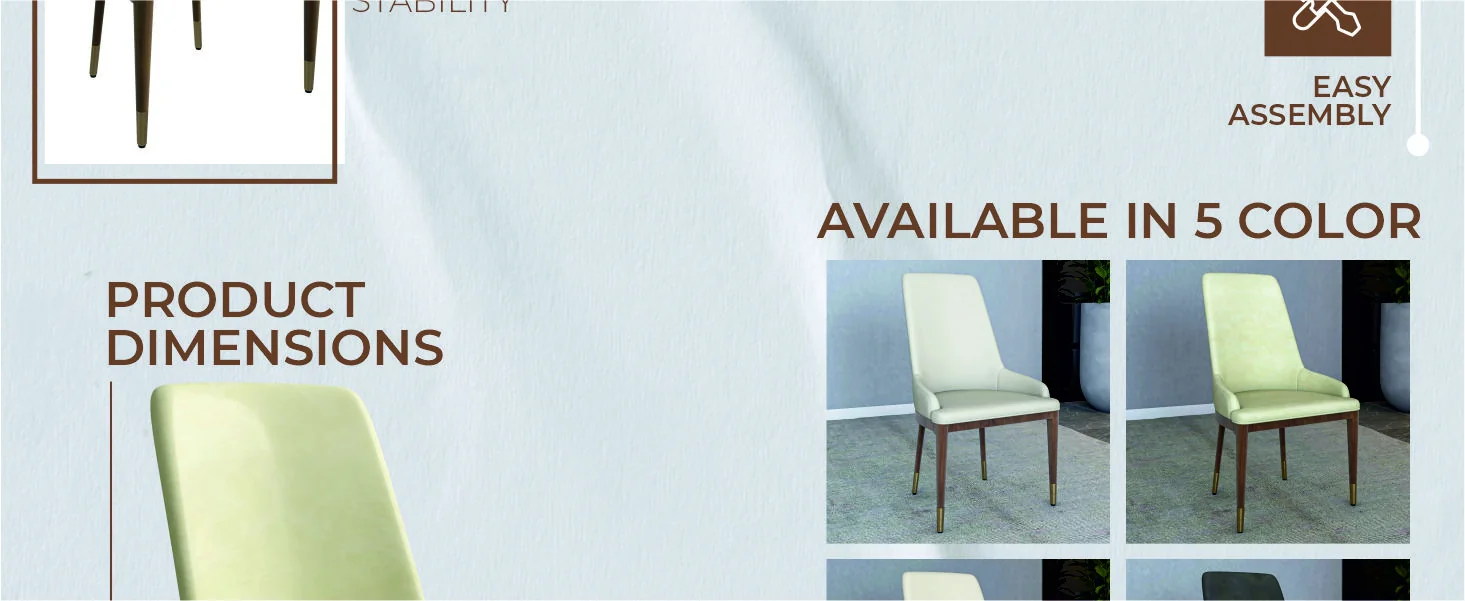 Viva Collection Modern Wooden Dining Chair in Cream Set of 4