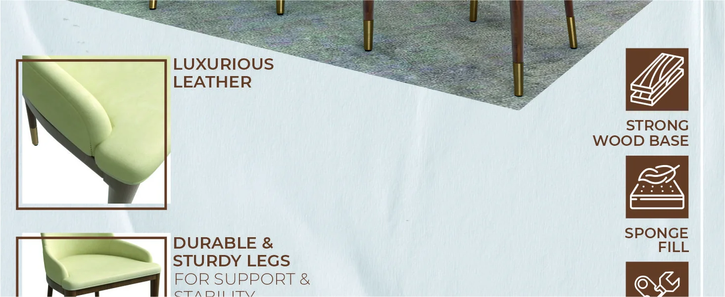 Viva Collection Modern Wooden Dining Chair in Cream Set of 4