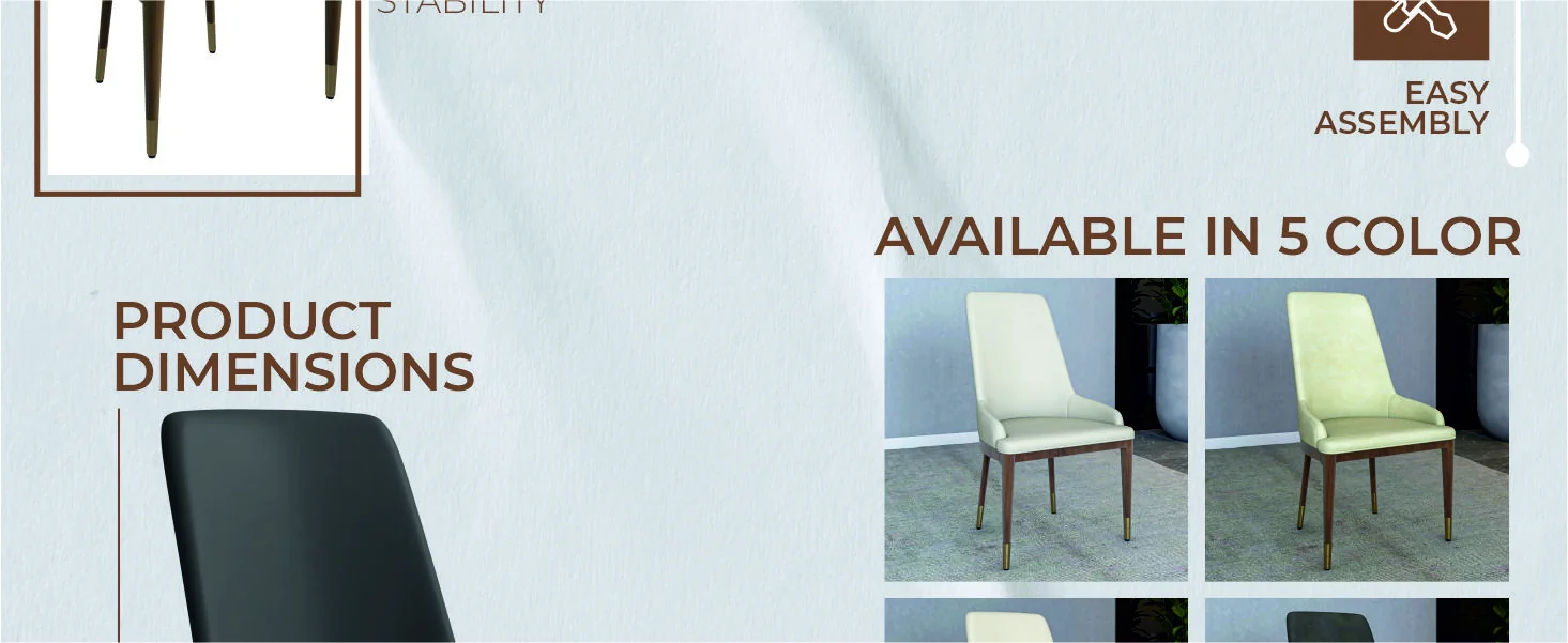 Viva Collection Modern Wooden Dining Chair in Dark Grey